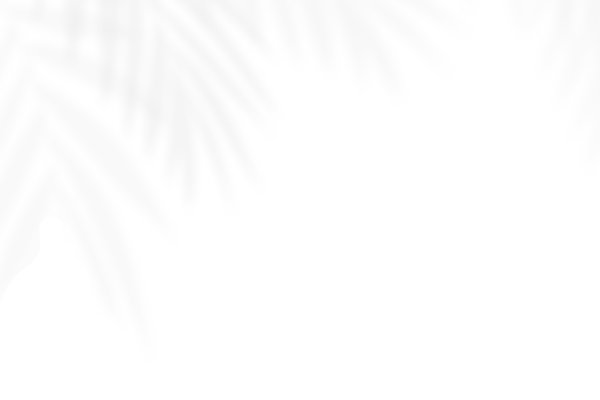 bg-motif